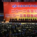 奮斗2013年，為開啟林洋事業(yè)新的征程而努力奮斗